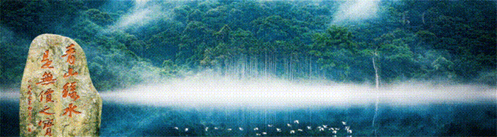 1753962452453930.gif